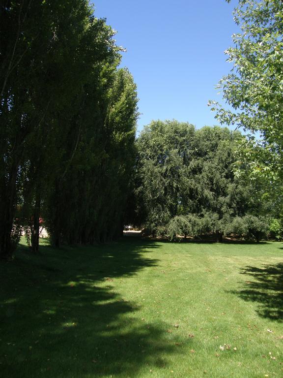 Agriturismo Greppi Crescentino Exterior foto